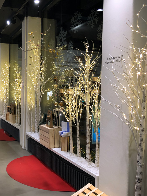 vitrine-de-noel-4