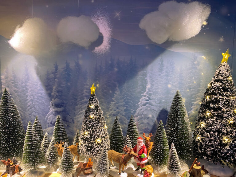 vitrine-noel-animee-14