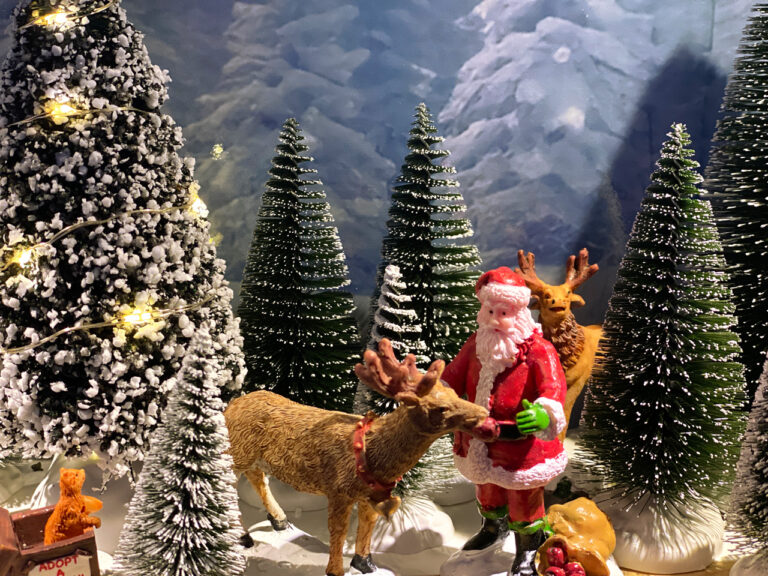 vitrine-noel-animee-15